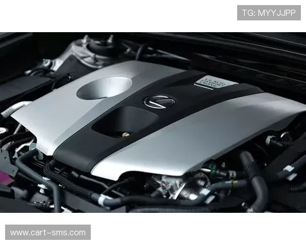 恩佐是否被低估:战术价值与实际表现差距在哪 恩佐是否被低估:战术价值与实际表现差距在哪